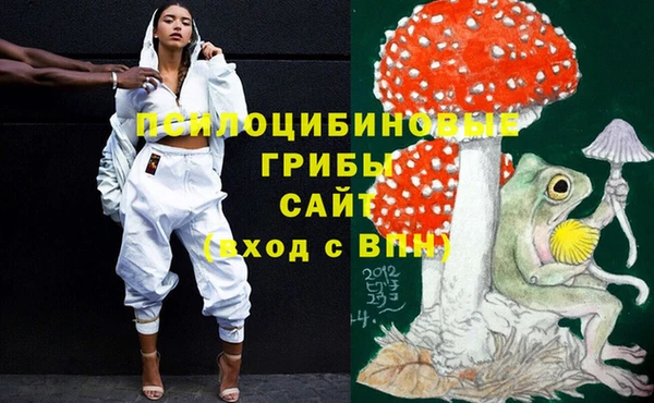 меф Белокуриха